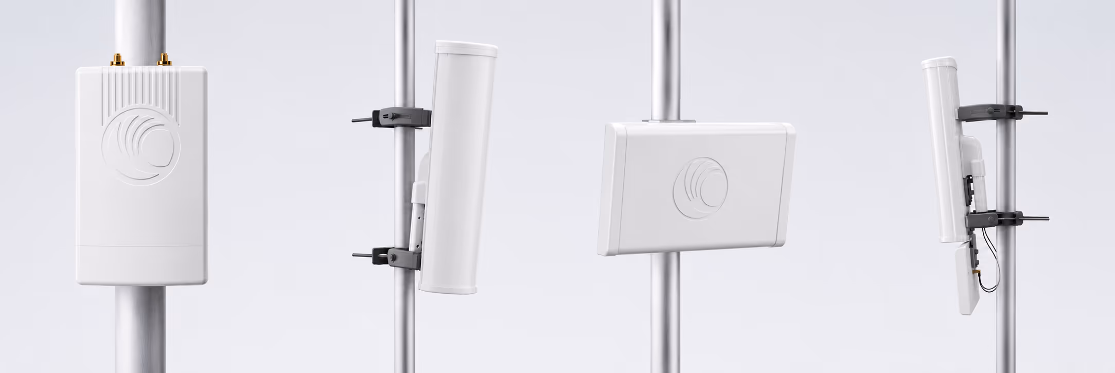 Cambium image 1
